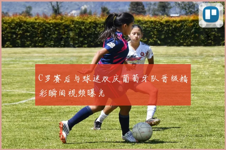 C罗赛后与球迷欢庆葡萄牙队晋级精彩瞬间视频曝光