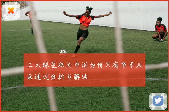 三大球星联合申诉为何只有华子未获通过分析与解读