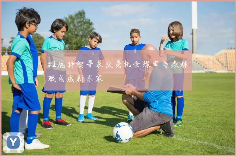 雄鹿持续寻求交易机会绿军与森林狼或成新东家