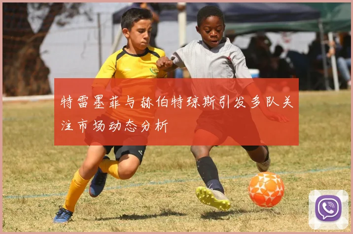 特雷墨菲与赫伯特琼斯引发多队关注市场动态分析